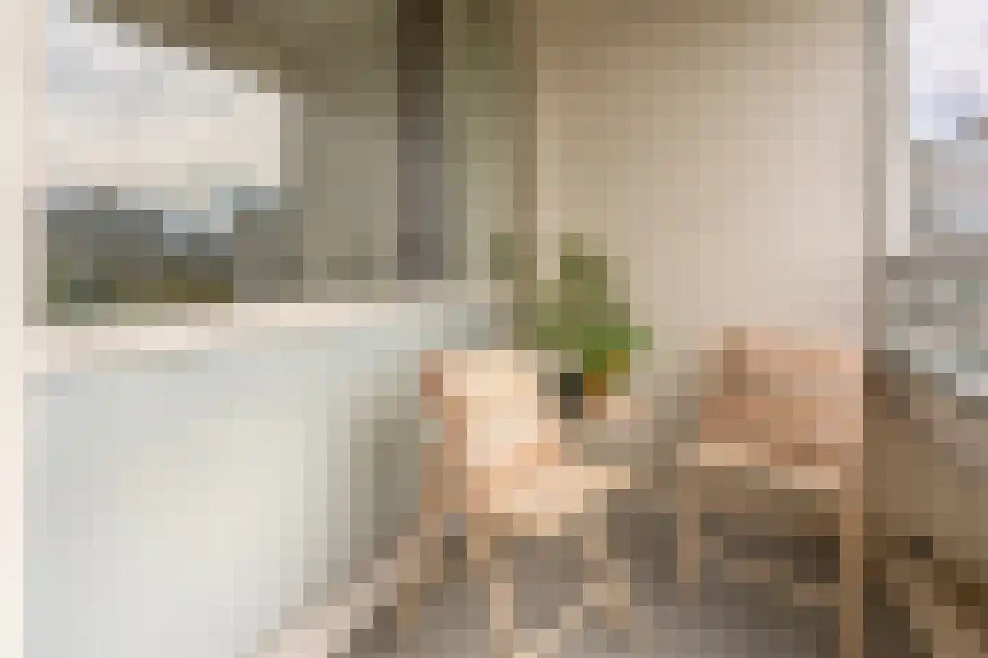 Theemsdreef 376 Utrecht thumbnail 22