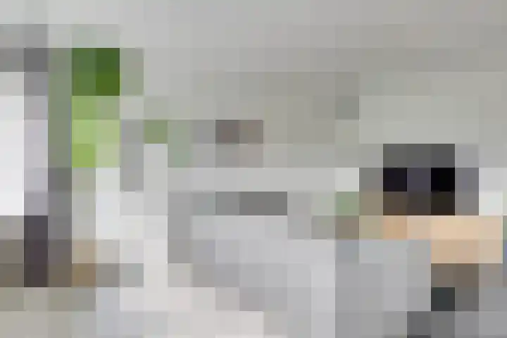 Theemsdreef 396 Utrecht thumbnail 20