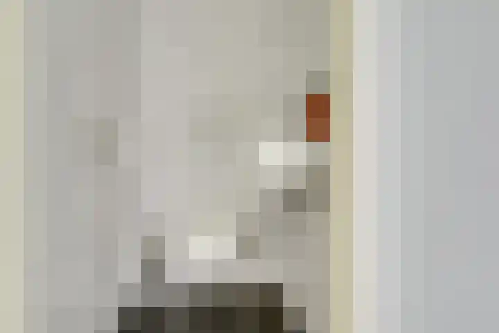 Theemsdreef 396 Utrecht thumbnail 24