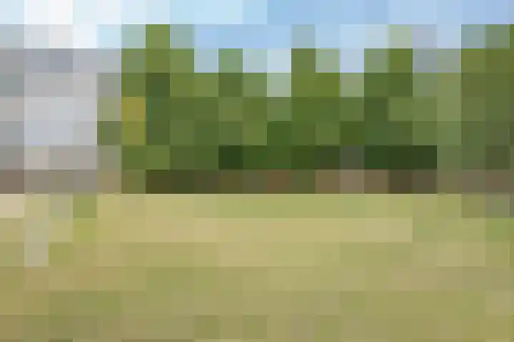 Theemsdreef 396 Utrecht thumbnail 45