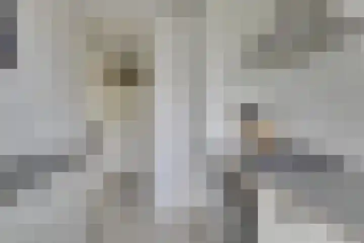 Theemsdreef 396 Utrecht thumbnail 8
