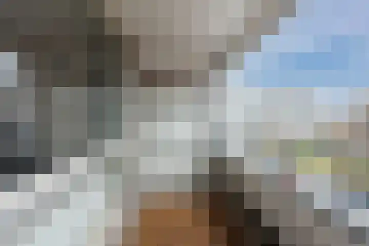 Theemsdreef 400 Utrecht thumbnail 15