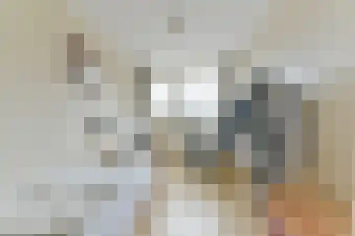 Theemsdreef 400 Utrecht thumbnail 18