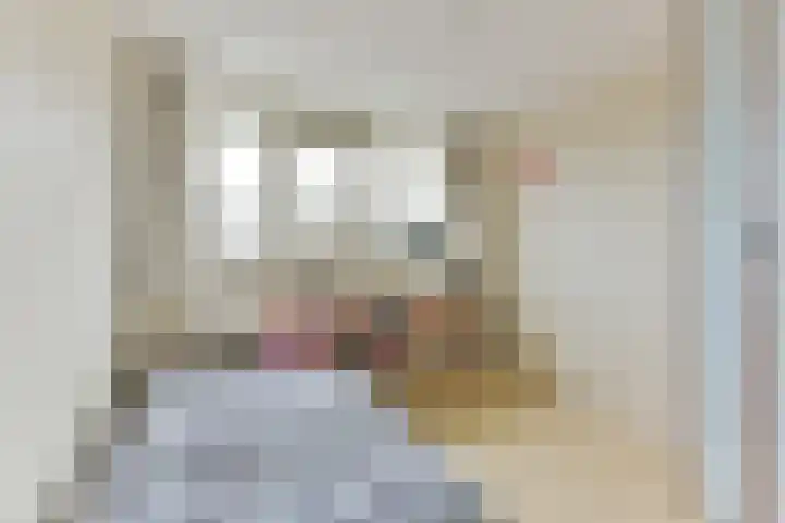 Theemsdreef 400 Utrecht thumbnail 19