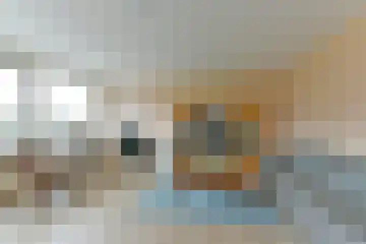 Theemsdreef 400 Utrecht thumbnail 5