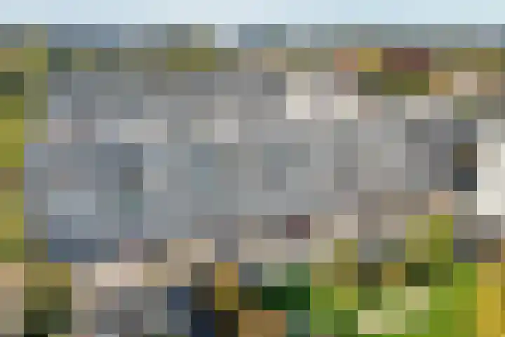 Theemsdreef 402 Utrecht thumbnail 25