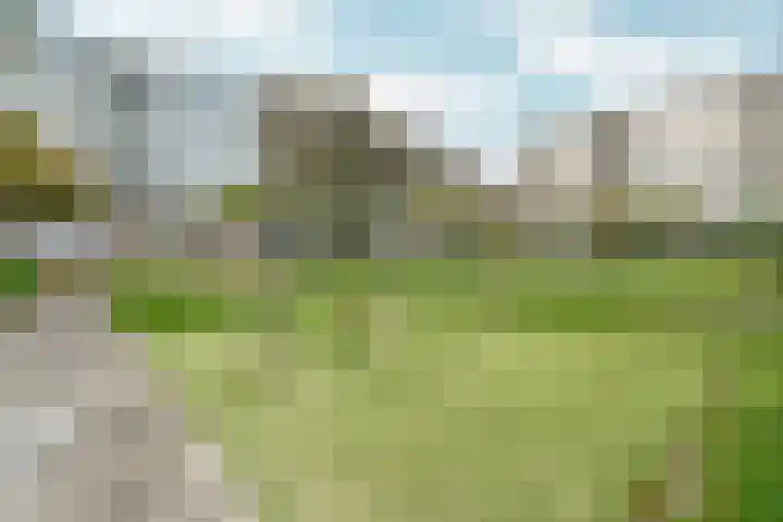 Theemsdreef 402 Utrecht thumbnail 29