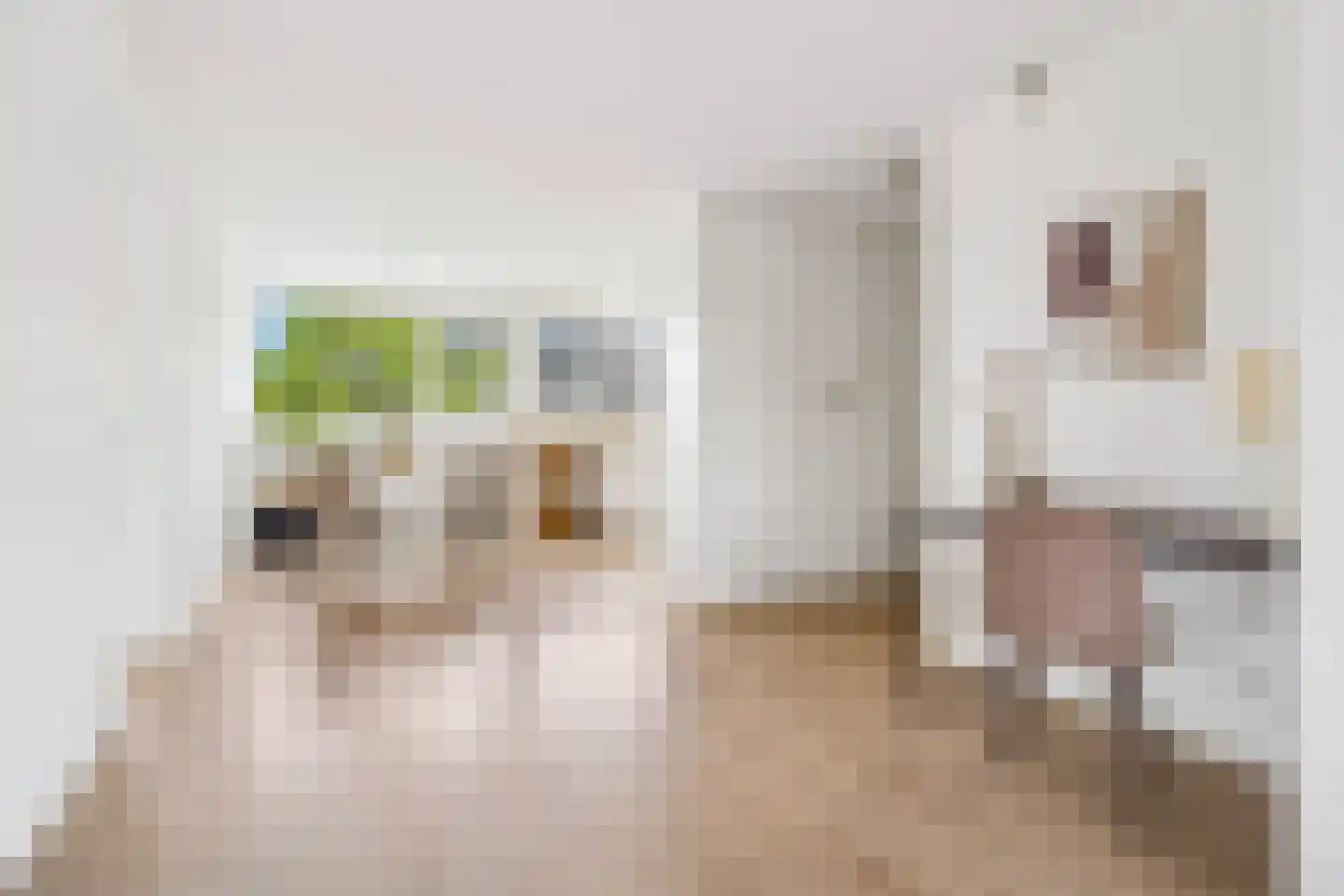Theemsdreef 430 Utrecht thumbnail 18