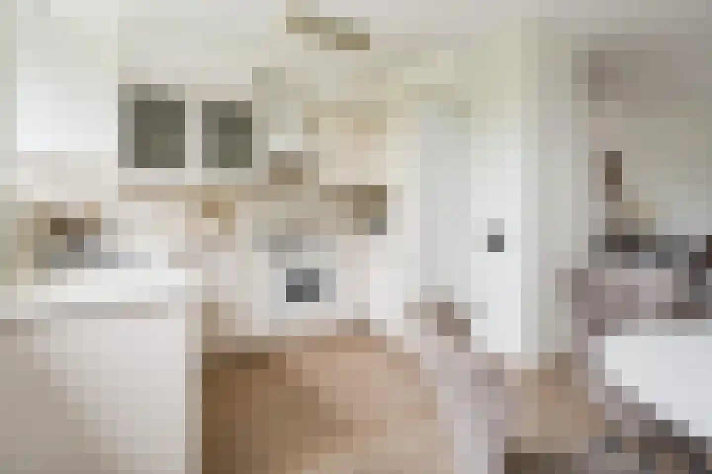 Theemsdreef 430 Utrecht thumbnail 21