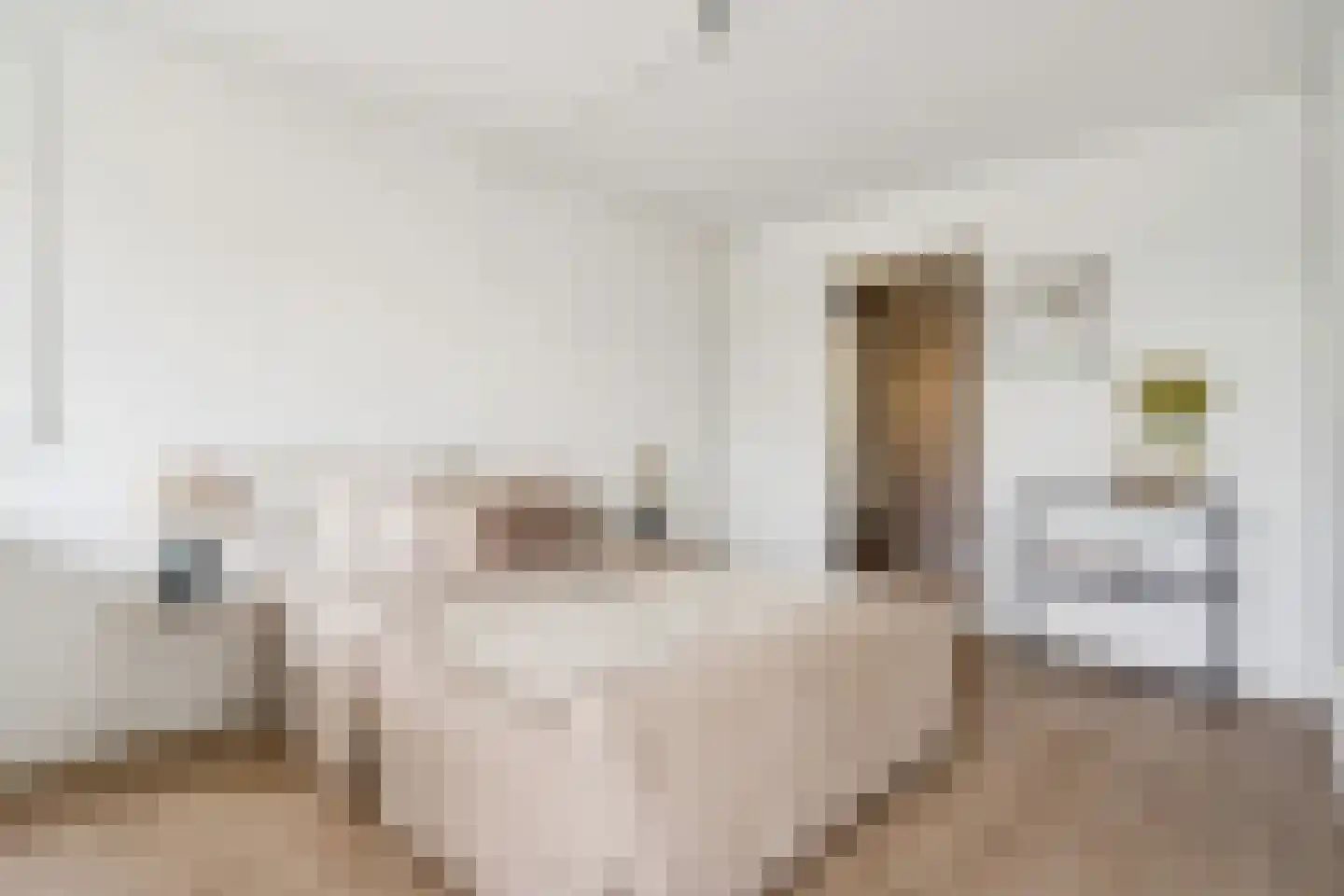 Theemsdreef 430 Utrecht thumbnail 25