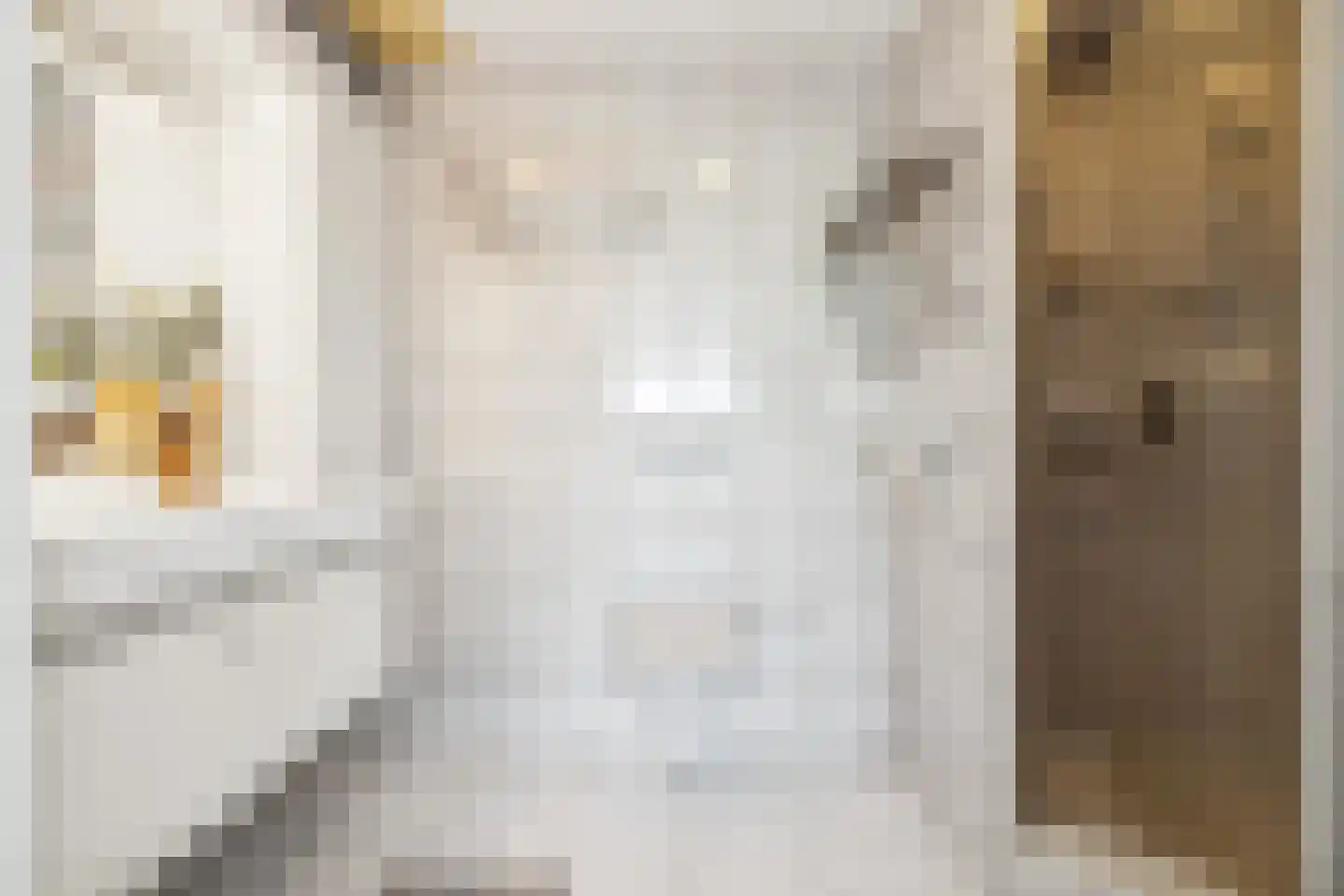 Theemsdreef 430 Utrecht thumbnail 31