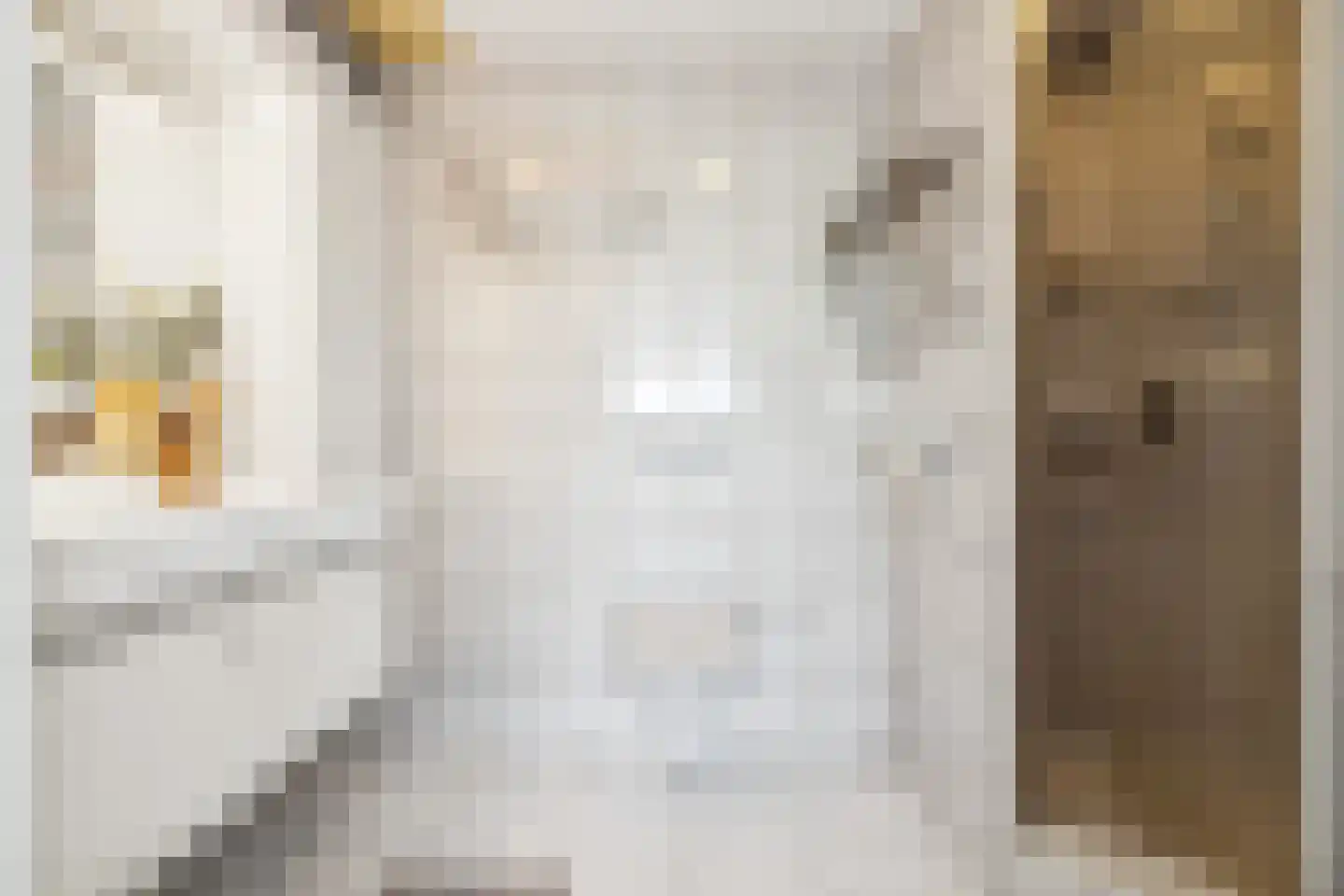 Theemsdreef 430 Utrecht thumbnail 31
