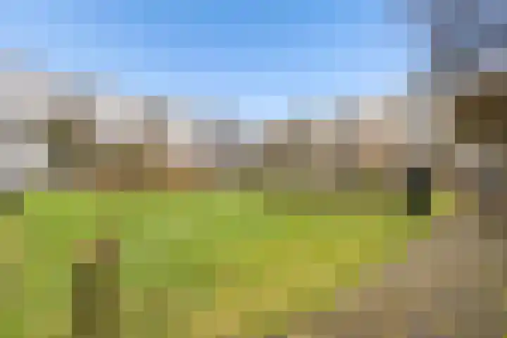 Theemsdreef 430 Utrecht thumbnail 35