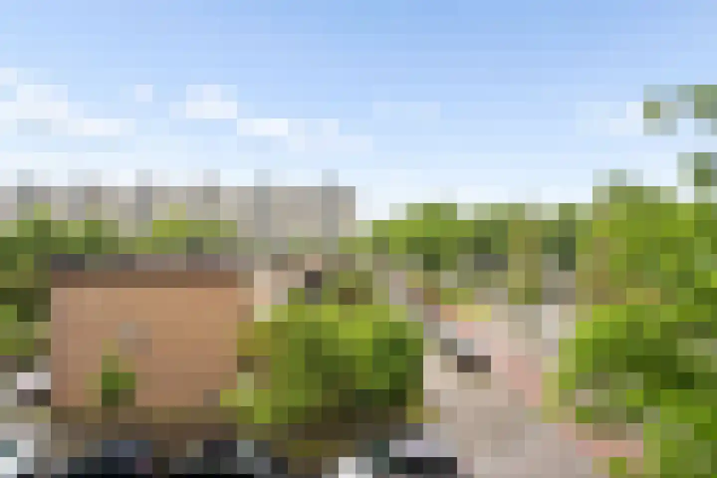 Theemsdreef 430 Utrecht thumbnail 36