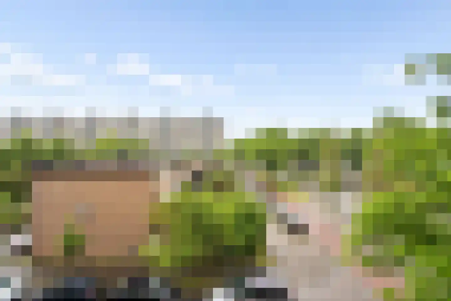 Theemsdreef 430 Utrecht thumbnail 36