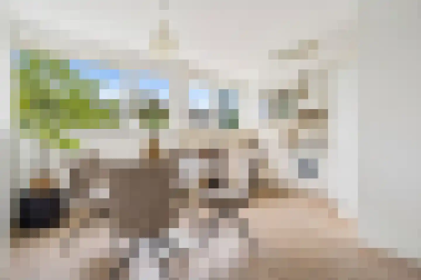 Theemsdreef 430 Utrecht thumbnail 4