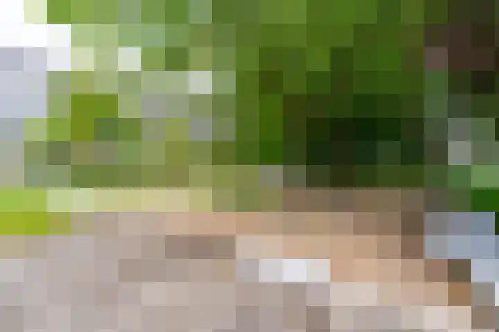 Theemsdreef 432 Utrecht thumbnail 32