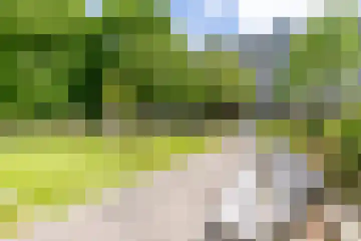 Theemsdreef 432 Utrecht thumbnail 33