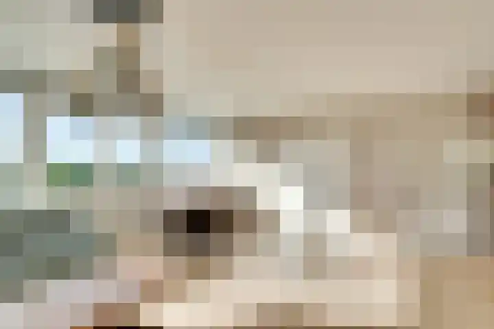 Theemsdreef 438 Utrecht thumbnail 14