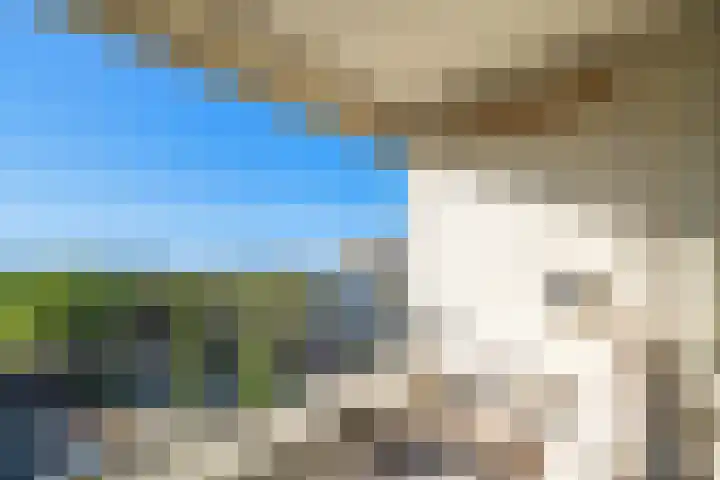 Theemsdreef 438 Utrecht thumbnail 21
