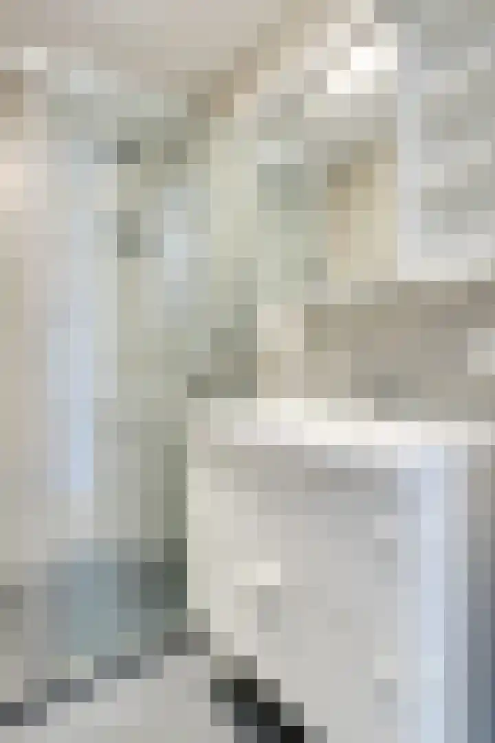Theemsdreef 438 Utrecht thumbnail 30