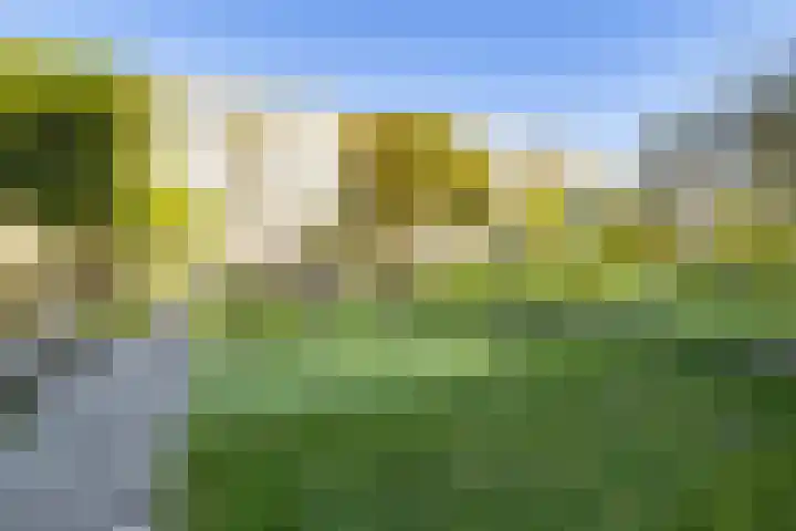 Theemsdreef 438 Utrecht thumbnail 34