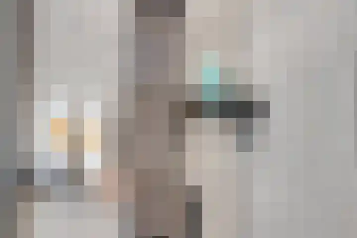 Theemsdreef 444 Utrecht thumbnail 18