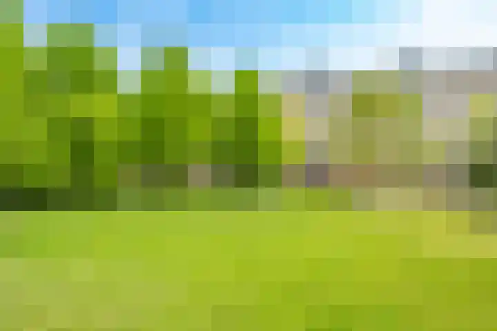 Theemsdreef 444 Utrecht thumbnail 32