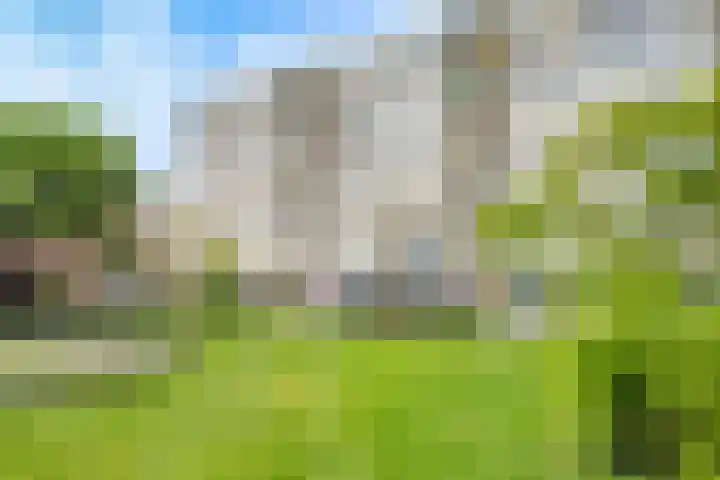 Theemsdreef 444 Utrecht thumbnail 33