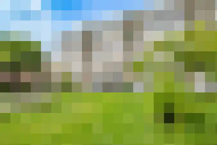 Theemsdreef 444 Utrecht thumbnail 42