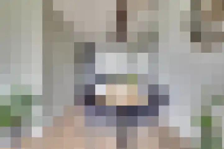 Theemsdreef 444 Utrecht thumbnail 8