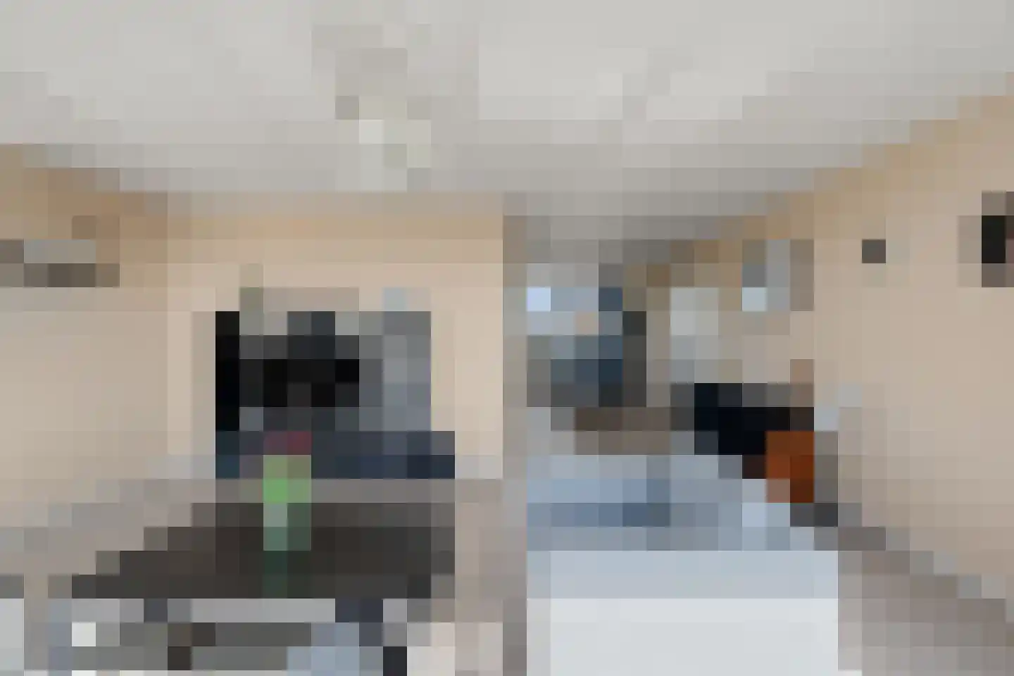 Theemsdreef 452 Utrecht thumbnail 23