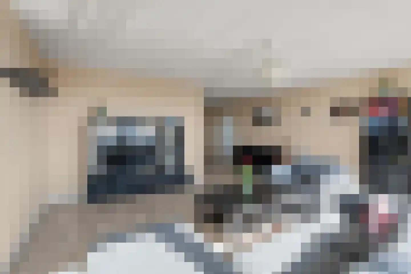 Theemsdreef 452 Utrecht thumbnail 24