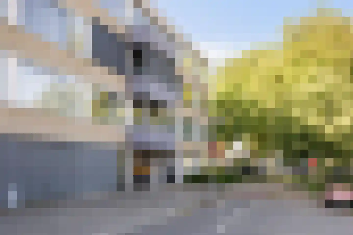 Theemsdreef 75 Utrecht thumbnail 6