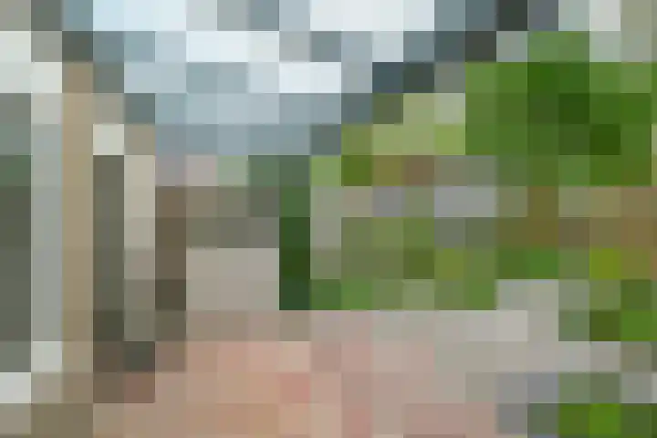 Theemsstraat 11 Alkmaar thumbnail 23