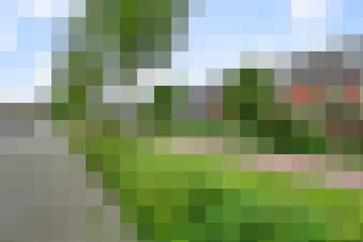 Theemsstraat 11 Alkmaar thumbnail 27