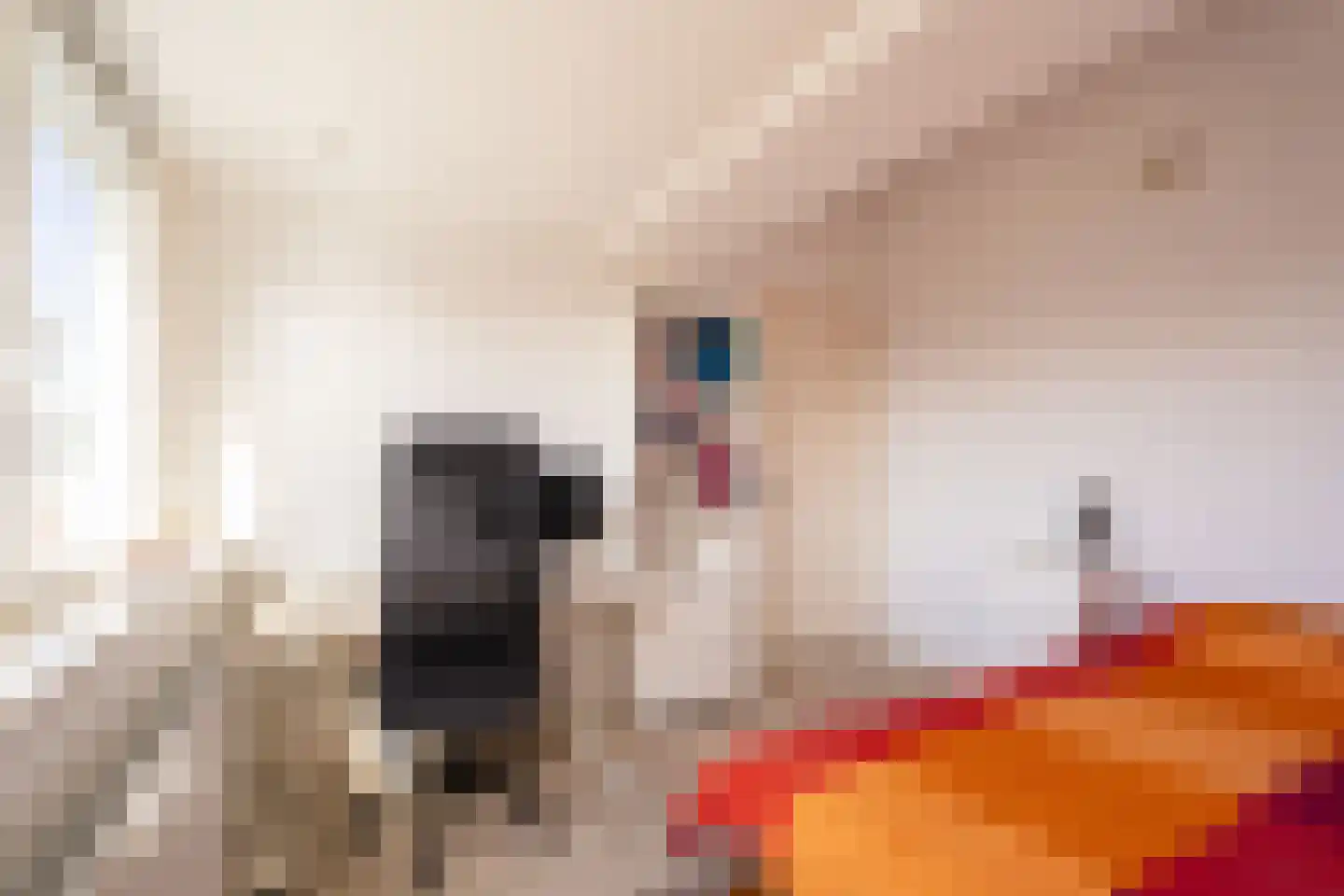 Theemsstraat 11 Haarlem thumbnail 30