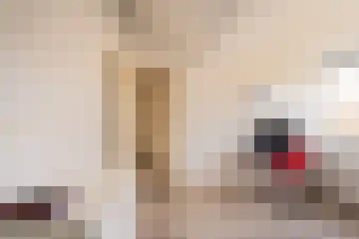 Theemsstraat 11 Haarlem thumbnail 33