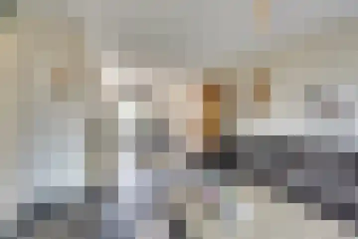 Theemsstraat 29 Venlo thumbnail 5