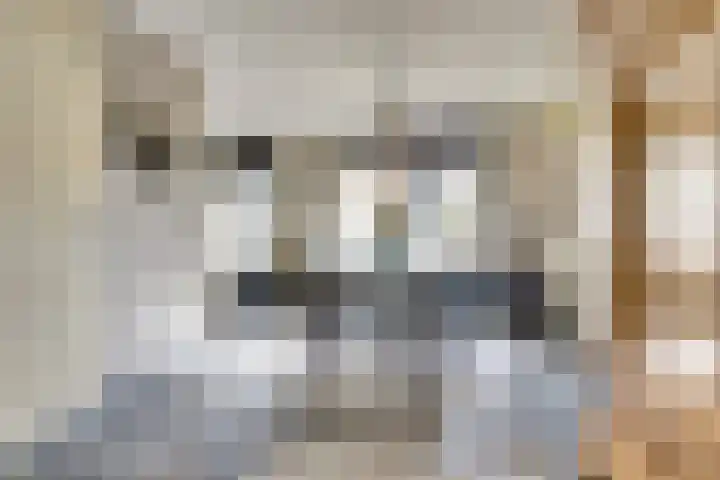 Theemsstraat 29 Venlo thumbnail 6
