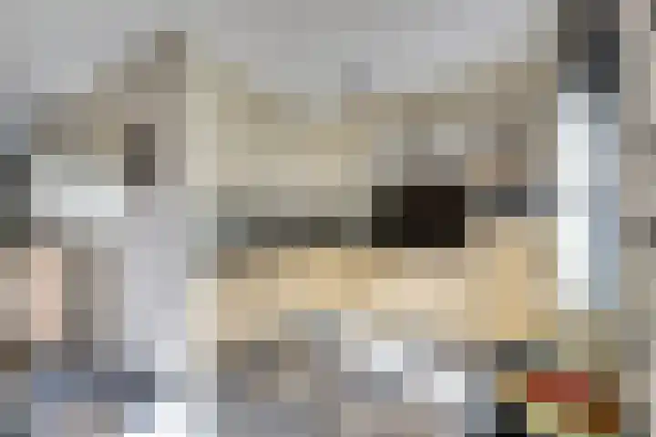 Theemsstraat 29 Venlo thumbnail 8