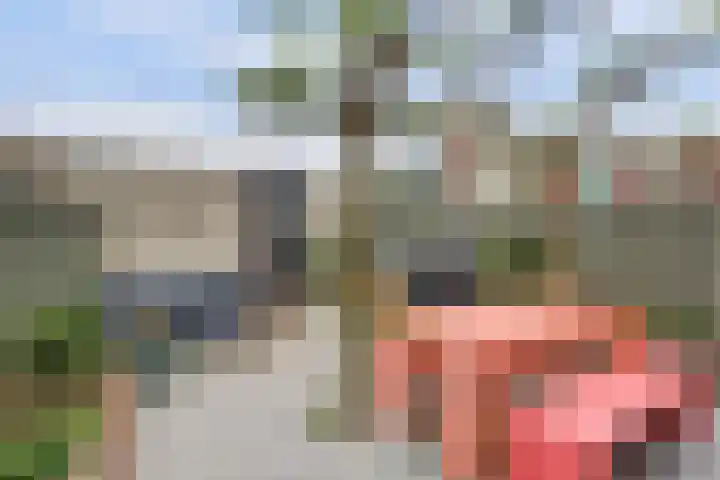 Theemsstraat 31 Venlo thumbnail 22