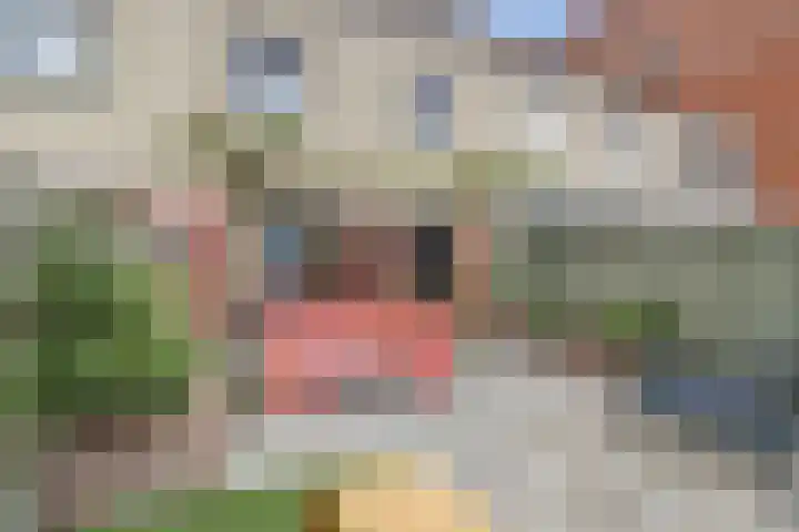 Theemsstraat 31 Venlo thumbnail 23