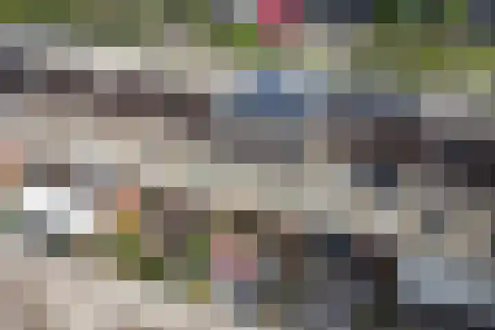 Theemsstraat 31 Venlo thumbnail 25