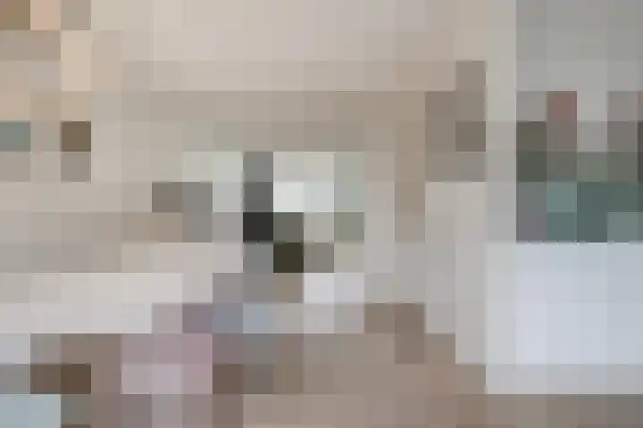 Theemsstraat 31 Venlo thumbnail 8