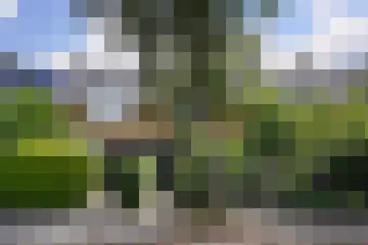 Theemsstraat 32 in Haarlem