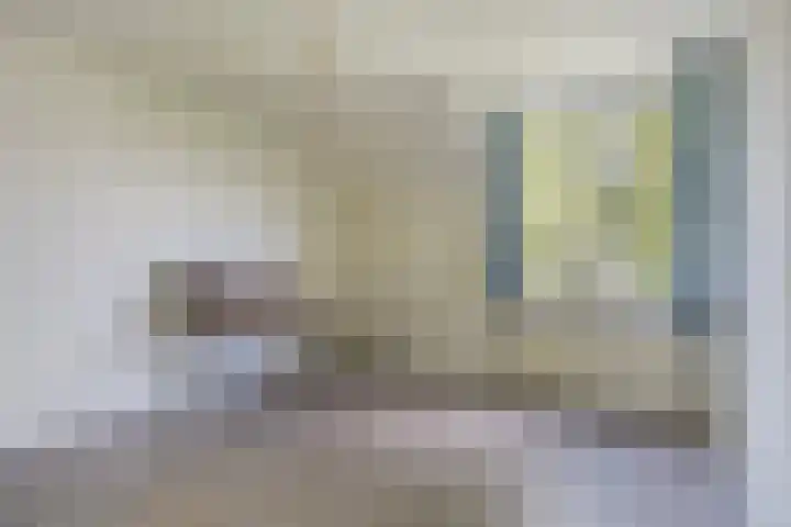 Theemsstraat 32 Haarlem thumbnail 32