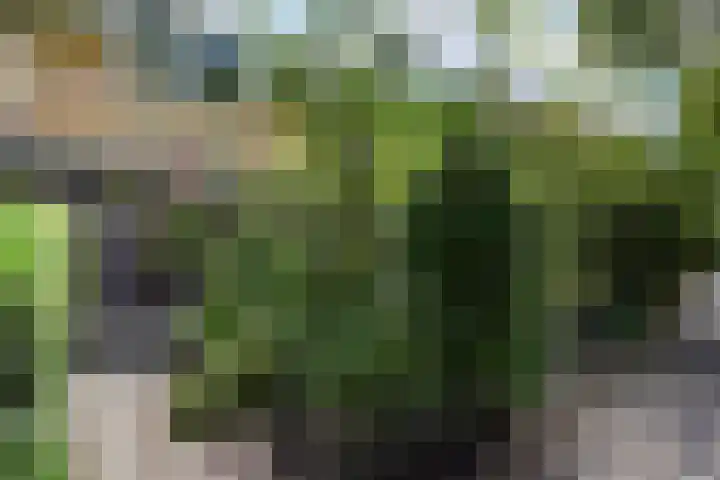 Theemsstraat 32 Haarlem thumbnail 47