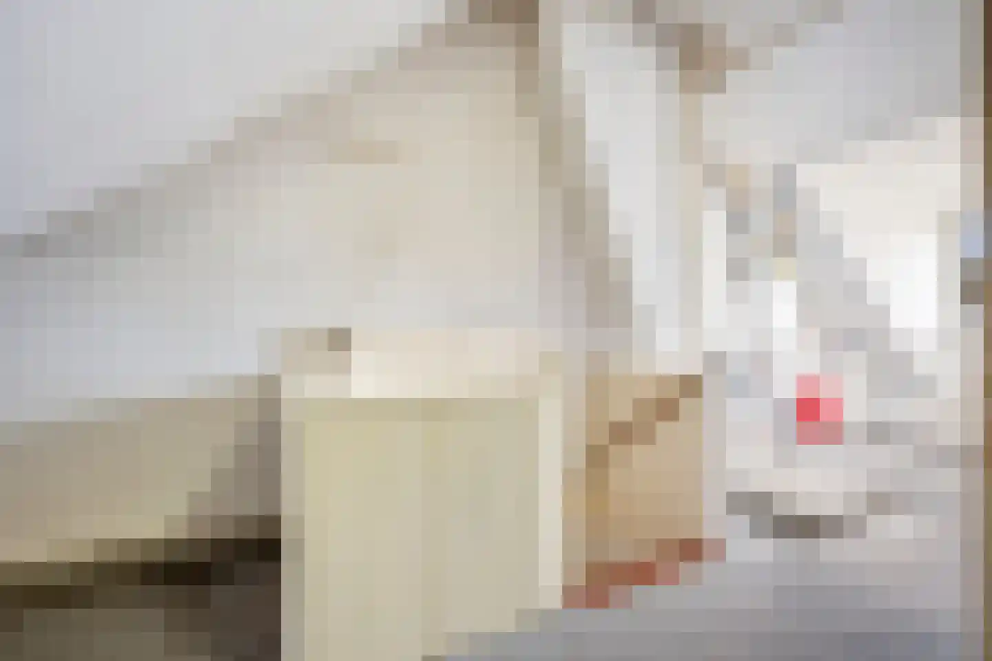 Theemsstraat 37 Haarlem thumbnail 30