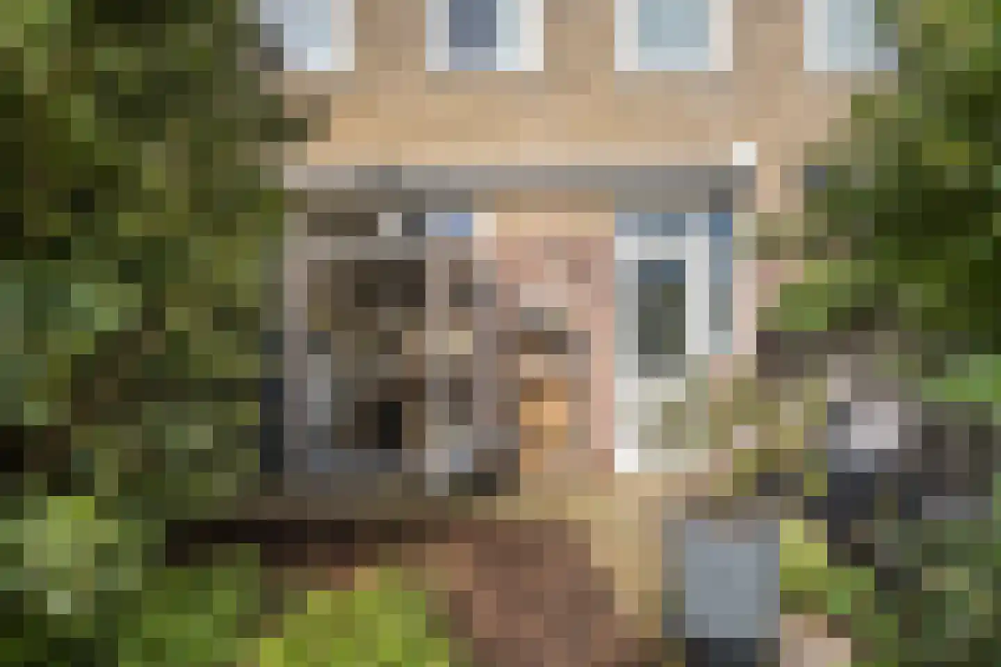 Theemsstraat 6 Haarlem thumbnail 22